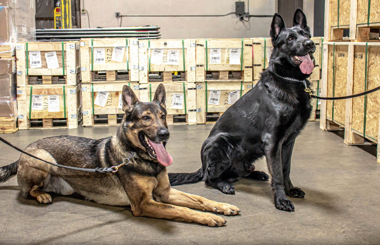 Cargo Screening K9