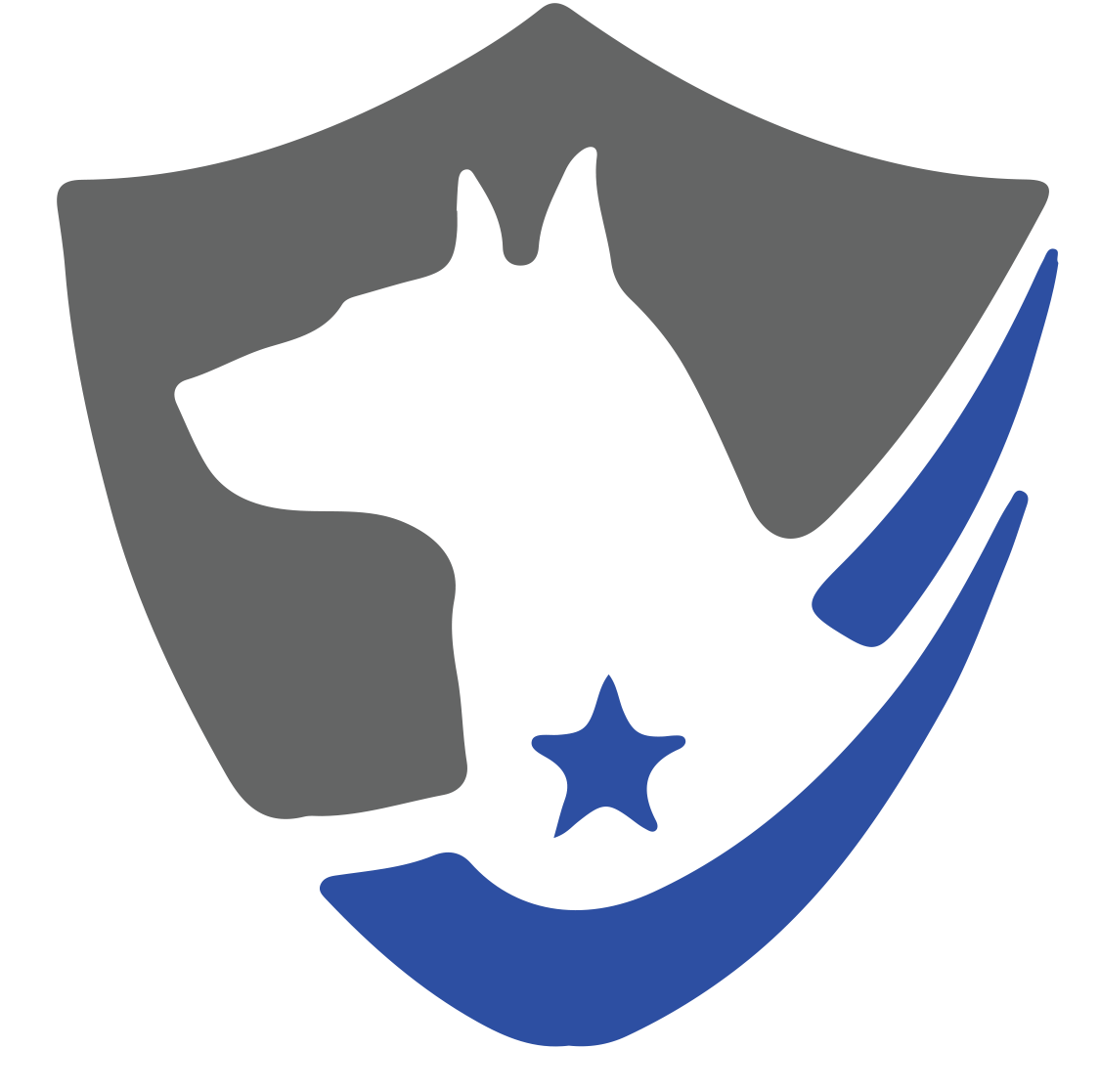 Iron Shield Logo