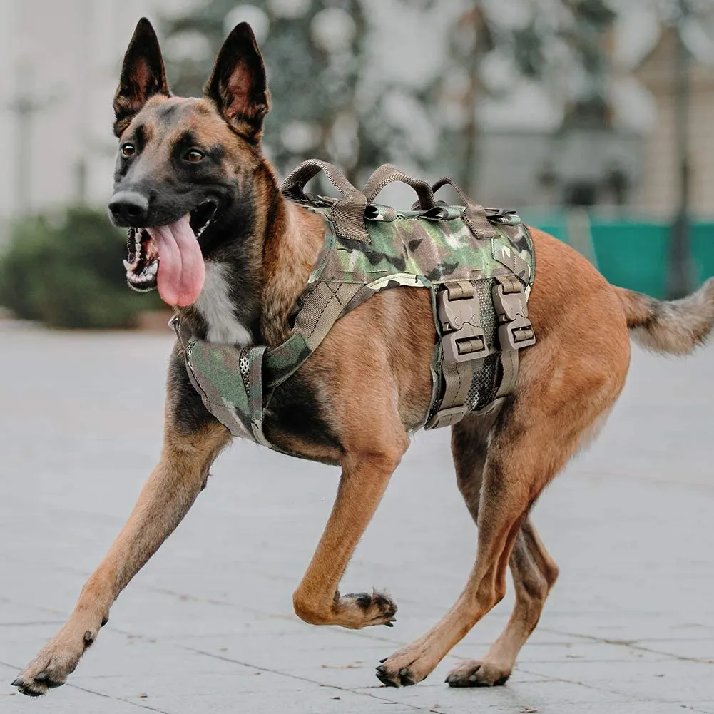 Special Purpose K9