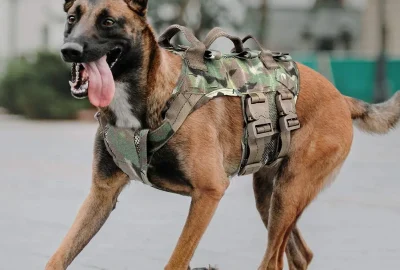 PETAC-GEAR-Tactical-Dog-Harness-K9-600x600